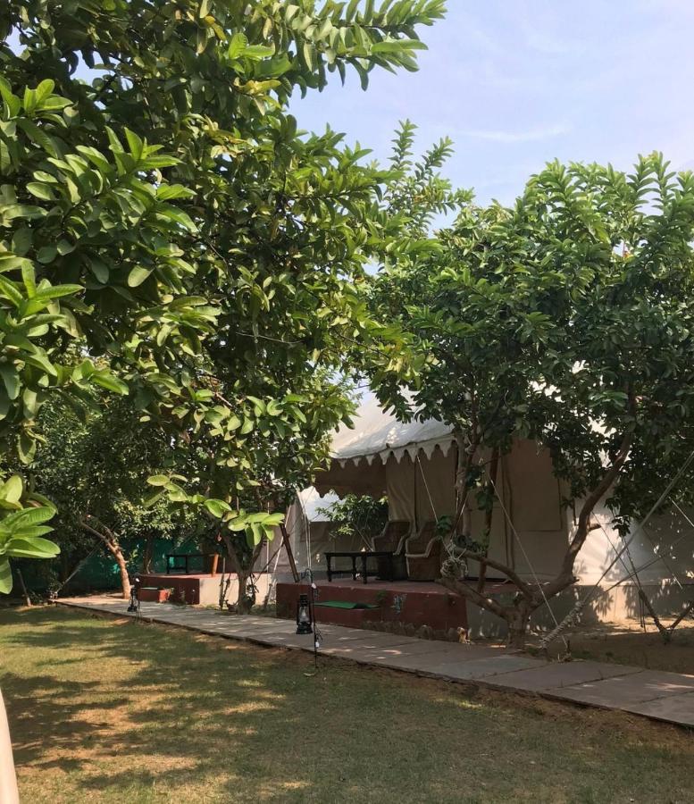 The Jungle Camp - Wildlife Resort Sawai Madhopur Exterior photo